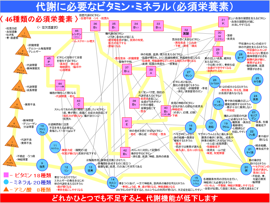 食事　痩せない